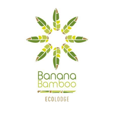 Banana Bamboo *